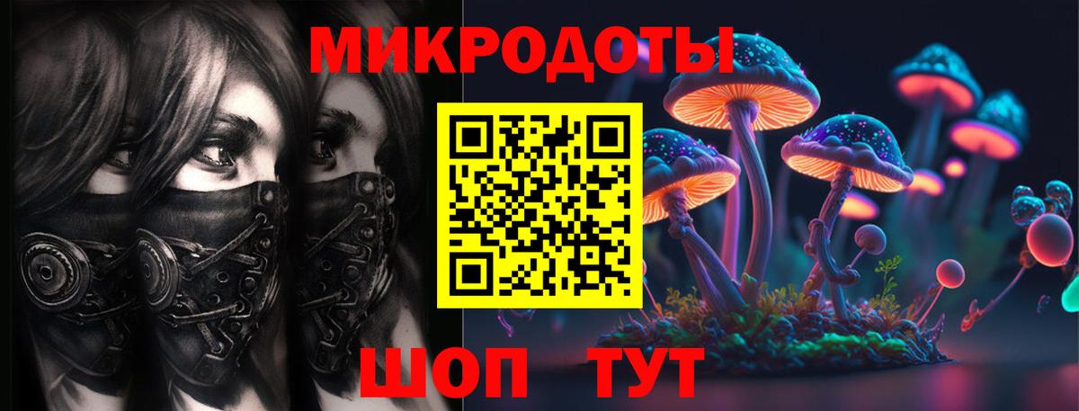 Псилоцибиновые грибы Psilocybine cubensis  Вход с VPN  Псилоцибиновые грибы ЛСД  Тимашёвск 