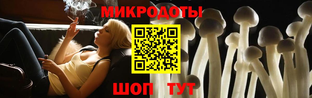 Галлюциногенные грибы Magic Shrooms Тимашёвск